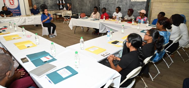Victoria Youths Receive Capacity Building Training